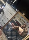 IMG_0073.jpeg