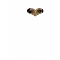 cindi69