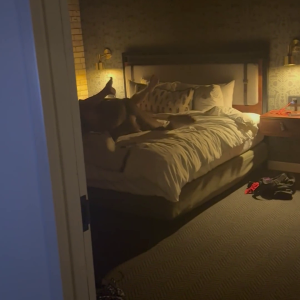 Small part of their 3 hour fuck fest