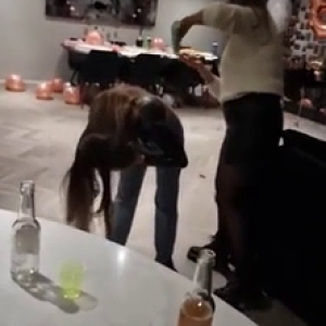 BBC at the afterparty