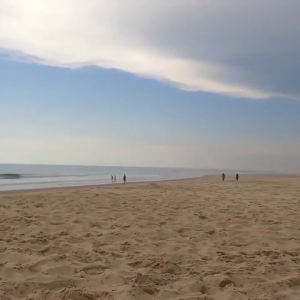 Shared Hotwife MILF Beach Day BBC Fun